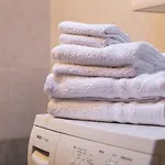 La Maison De Elisa - A Pochi Passi Dallo Sci Apartment *