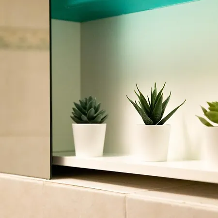 La Maison De Elisa - A Pochi Passi Dallo Sci Courmayeur